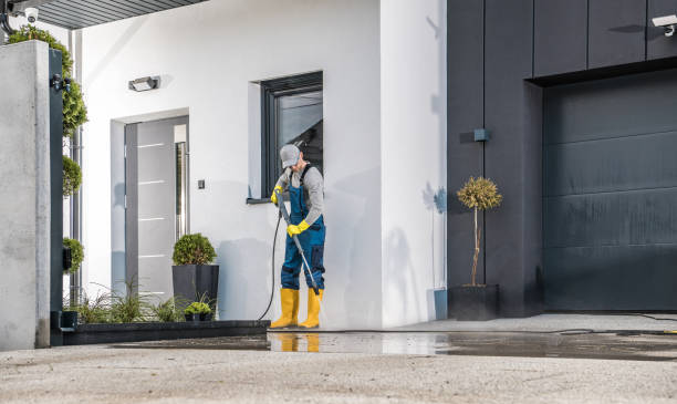Best Solar Panel Cleaning  in Carthage, IL
